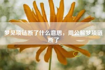 梦见项链断了什么意思