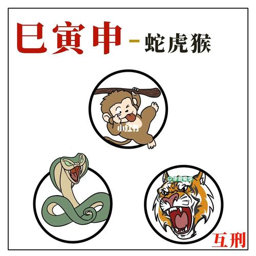 鼠兔相刑必死一生肖是真的吗
