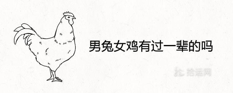 鸡男兔女配不配?