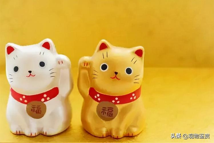 什么颜色的猫最旺财