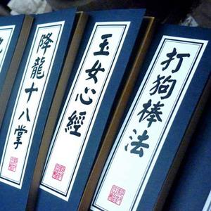 中国武功秘籍大全