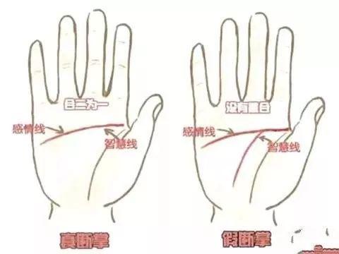 断掌纹详解 真假断掌如何分辨