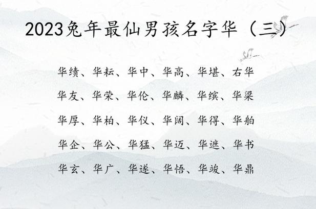 带华字的男孩名字洋气有什么好的分享