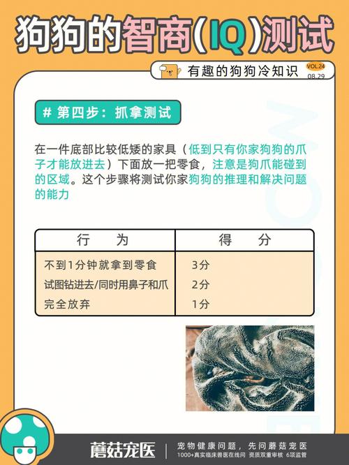 智商测试:你认为哪个绳子拉得最紧?测你这个人会不会很精明?