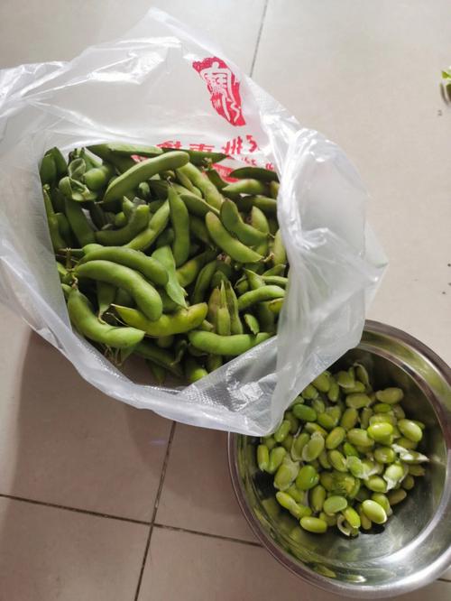 梦见毛豆