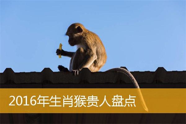 属猴的真命贵人