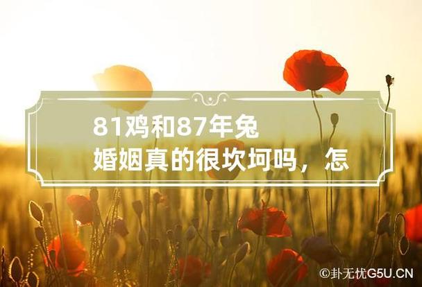 81鸡和87兔婚姻真的很坎坷吗