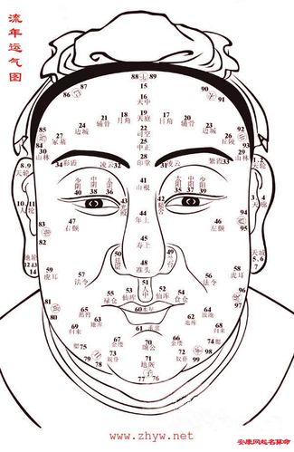 面相运势图解:五种面相人才华出众
