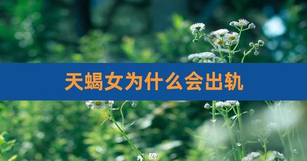 天蝎座女人婚后出轨吗