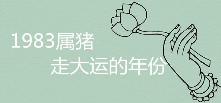 1983年属猪一生劫数有几次