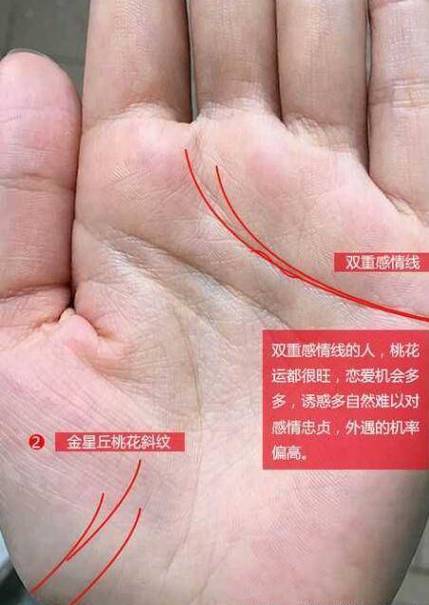 影响你爱情的手面相特征