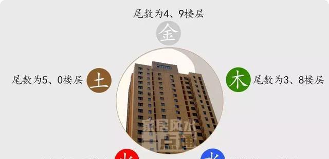 属虎的人适合住几楼,楼层与五行的关系