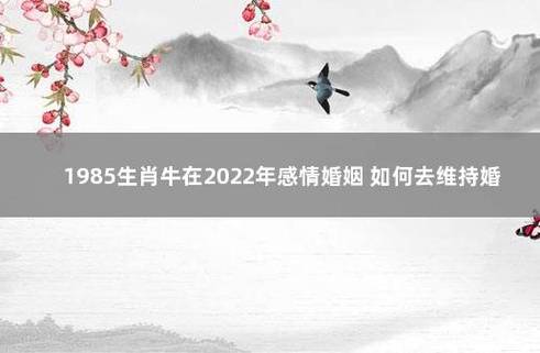 1985生肖牛在2022年感情婚姻