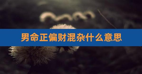 正偏财混杂的专情男人