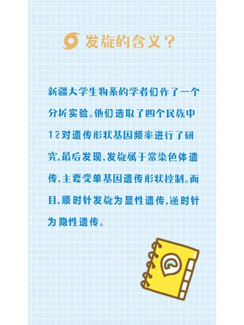 额头上有漩涡代表什么