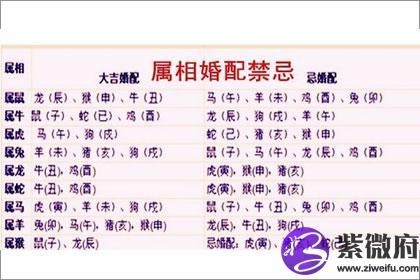 属牛男生找女友最看重的究竟是什么