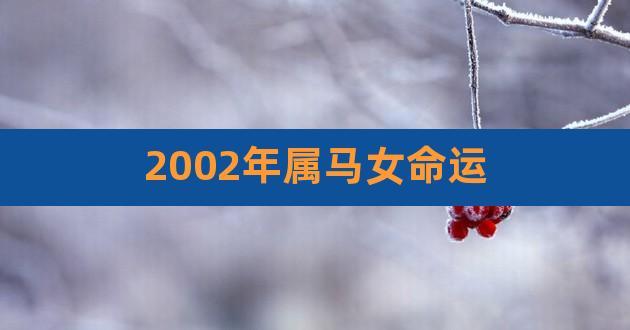 2002属马的女人命好吗