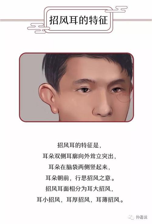 招风耳的男人性格