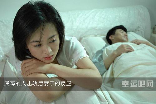属兔出轨后,妻子的反应