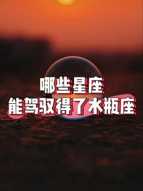 唯一能治住水瓶的星座