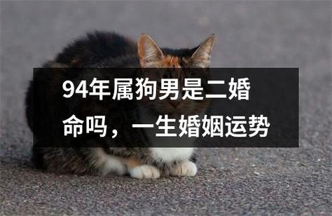 94年属狗男是二婚命吗,一生婚姻运势