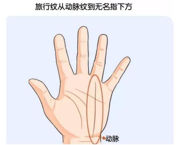 动脉纹看身体状况及财富