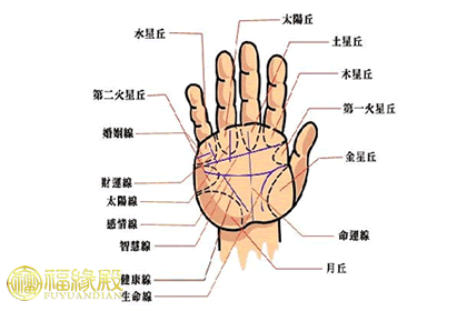 八大特殊手相特征揭秘