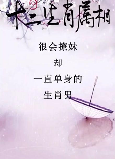 因为单身太寂寞才选择谈恋爱的生肖