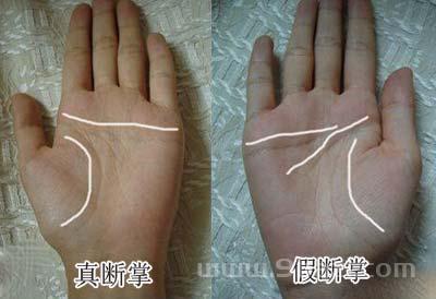 潘教授:揭开断掌的秘密,看你究竟是不是断掌!