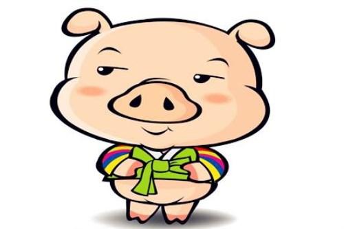 属猪人的一生命运