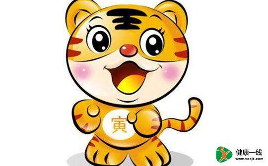 狮子座,寅虎,A型血