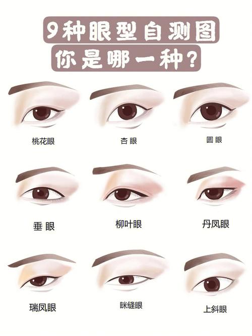 眼形二十种有哪些