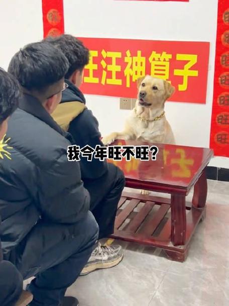2021年十二月狗男运势旺不旺