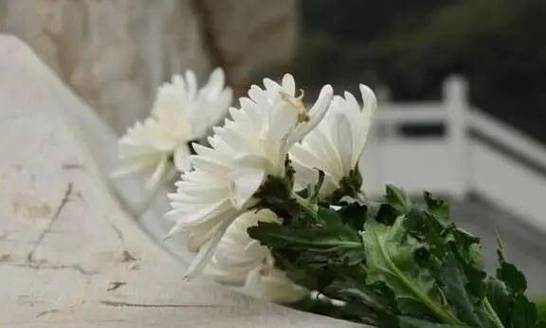 三月十五有什么禁忌寓意和说法