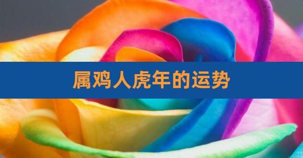 2022年属鸡男在虎年运势