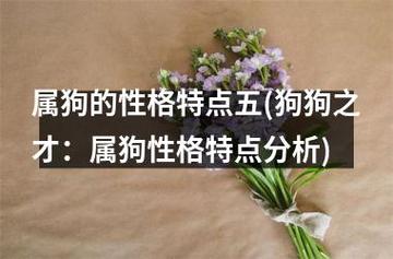 揭秘生肖狗不为人知的隐性性格