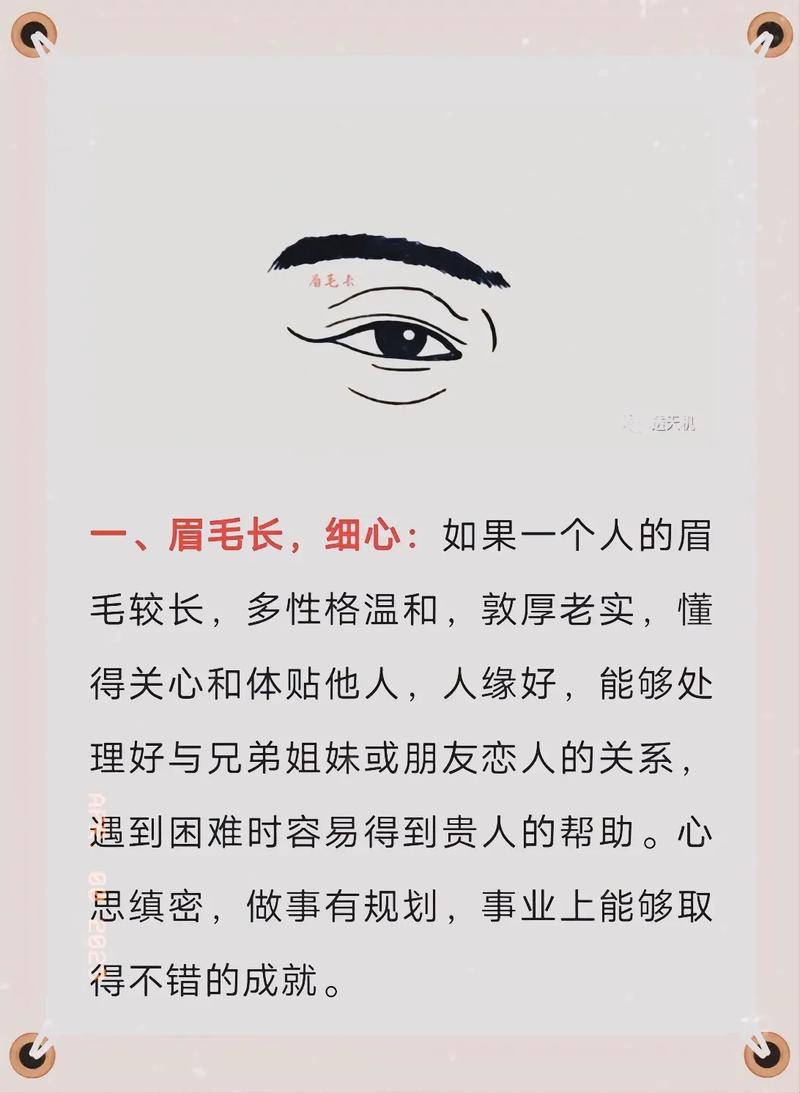 眉形所代表的面相分析