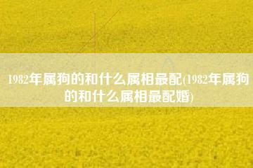 1982属狗的婚姻