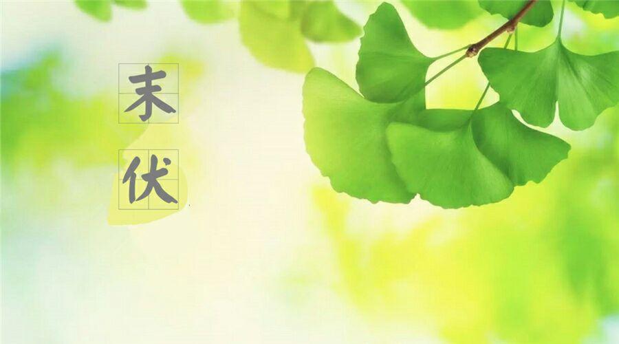 末伏是怎样确定的