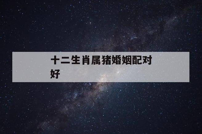 生肖猪属相婚姻配对
