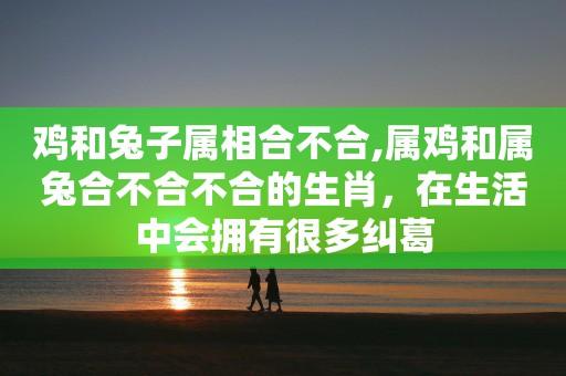 属兔和属鸡的合不合