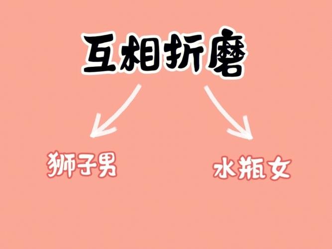 狮子最怕遇上水瓶