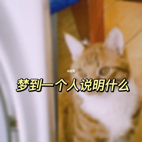总梦到一个人说明什么