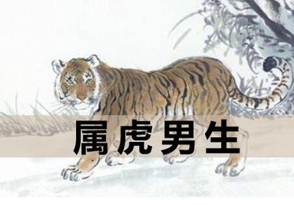 属虎的男生长相好看吗