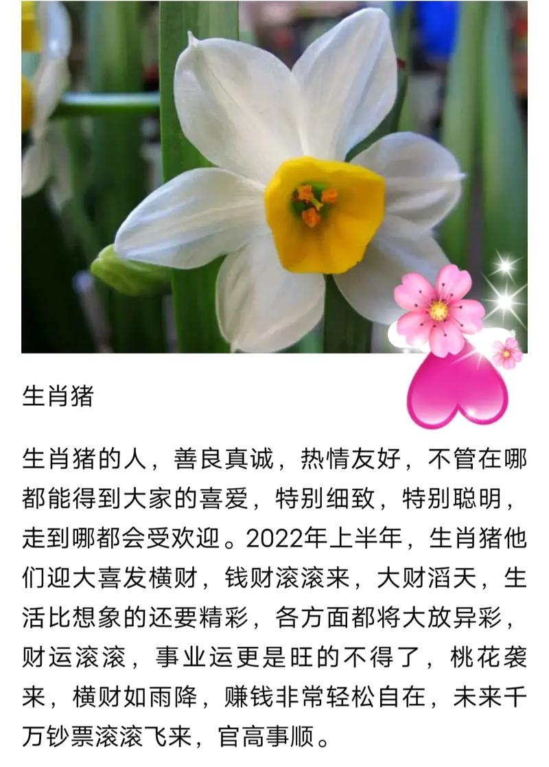 人群中最光芒四射的生肖