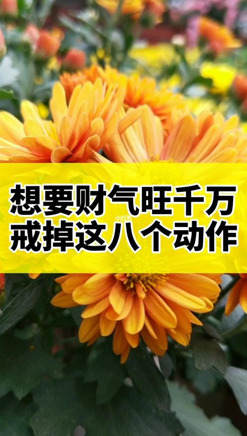 想要提升自己的财运
