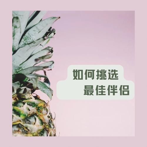 喜用神为土的人要找什么样的伴侣