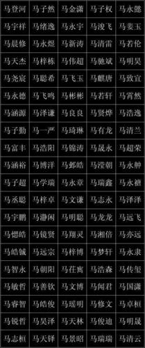 生肖马取名适合用什么字?