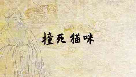 梦见猫被烧死了