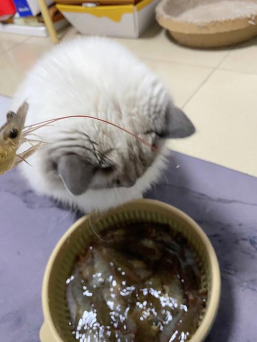 梦见偷虾